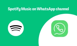 Unleashing the Power of Spotify WhatsApp channel 4.2 million Followers